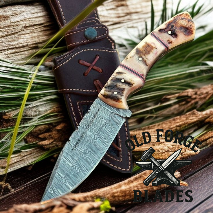 Handmade Damascus Steel Blade Knife with Sheep Horn Handle
