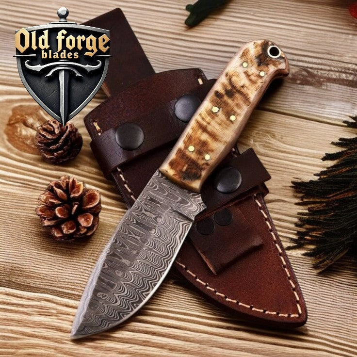 Handmade Damascus hunting knife with sheep horn handle