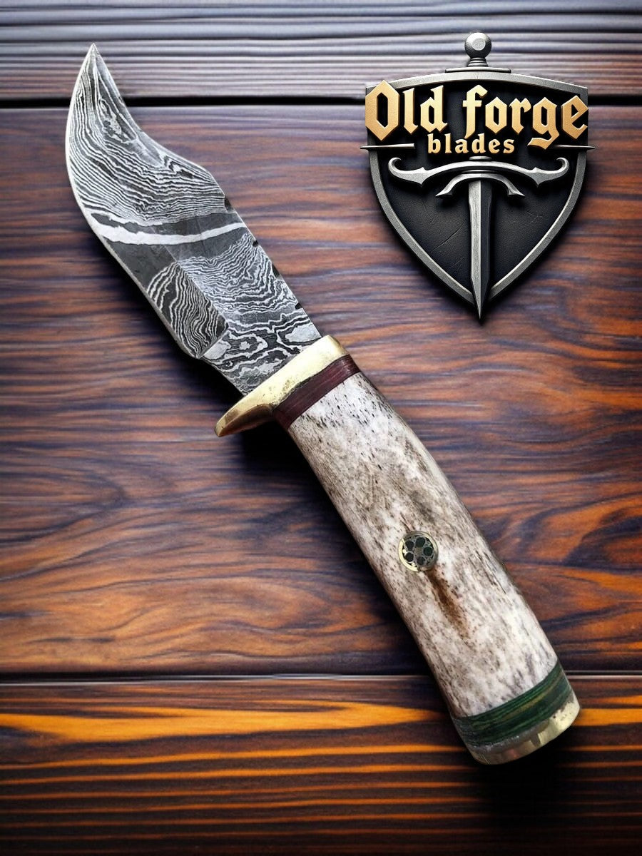 Damascus skinner knife with camel bone handle on white background