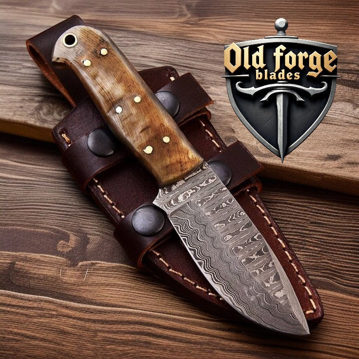 Close-up of Damascus steel blade and sheep horn handle hunting knife