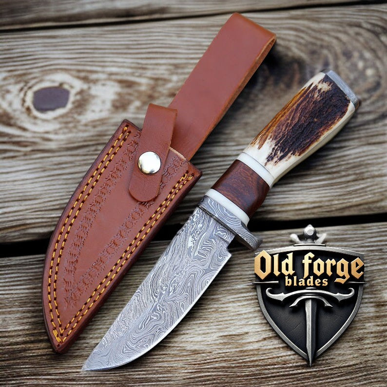 Damascus Deer Hunting Knife with Rosewood Stag Handle